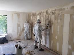 Best Residential Mold Inspection & Testing  in Benton, LA